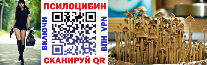гидра онион  Топки  Галлюциногенные грибы GOLDEN TEACHER 
